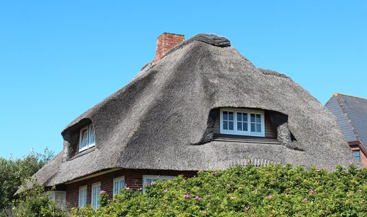 Friesenhaus-Reetdach-Reet